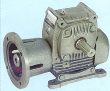 Worm Speed Reducer - Adaptable in Horizontal Legs and Motor Flange