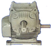 Worm Speed Reducer - Adaptable in Horizontal Legs