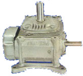 Worm Speed Reducer - Adaptable in Vertical Legs